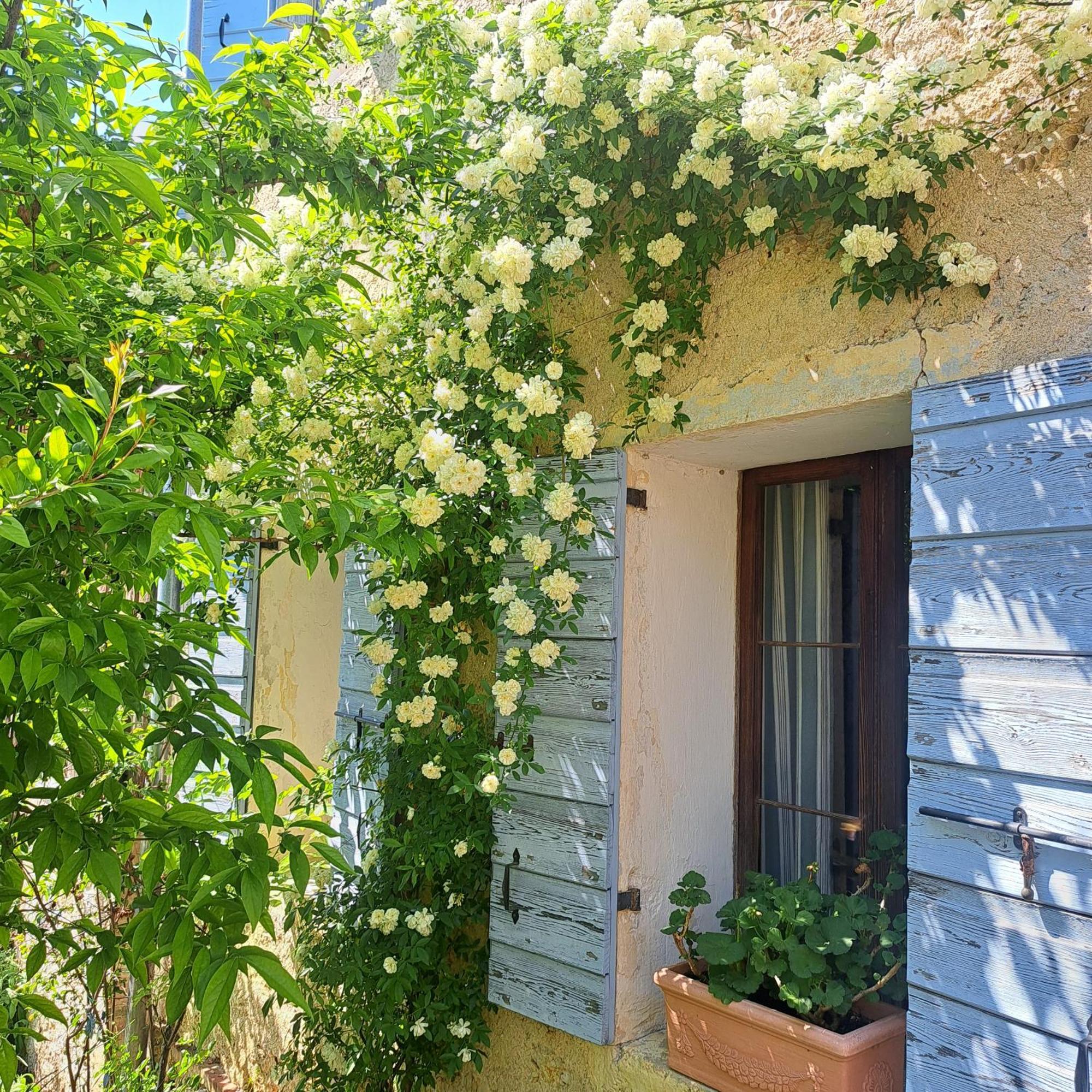 Casadesergio Refrontolo Bagian luar foto