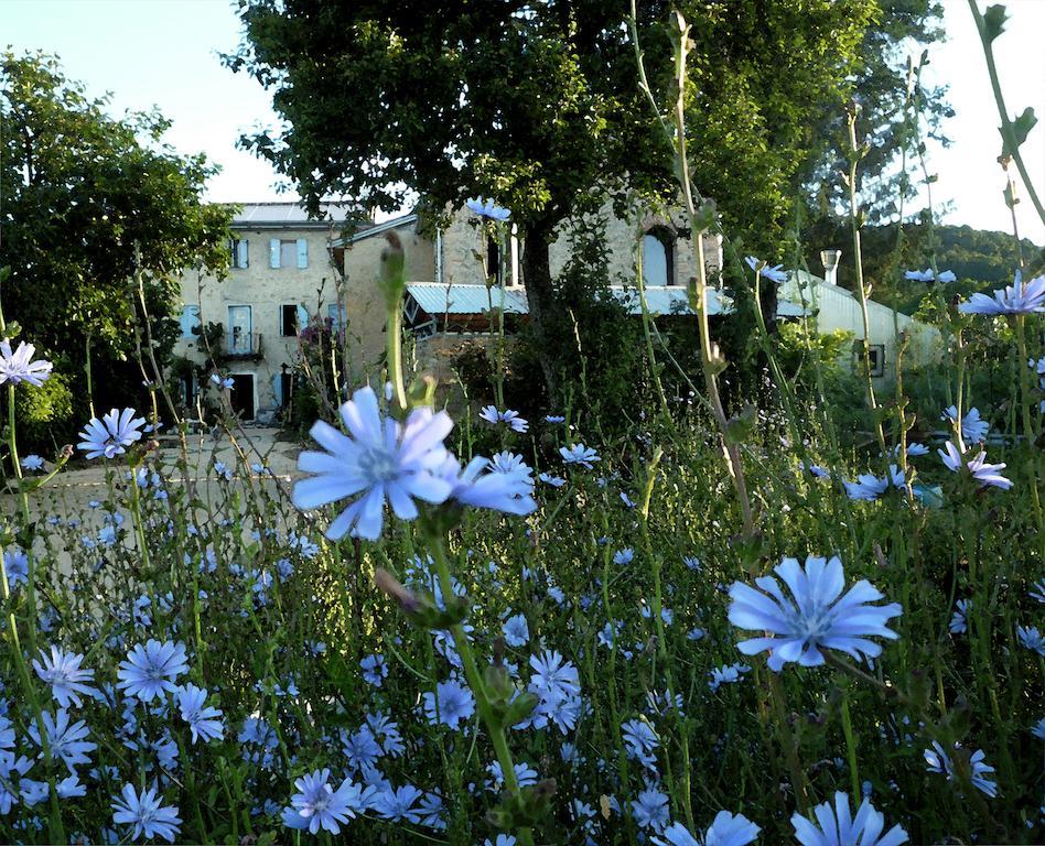 Casadesergio Refrontolo Bagian luar foto
